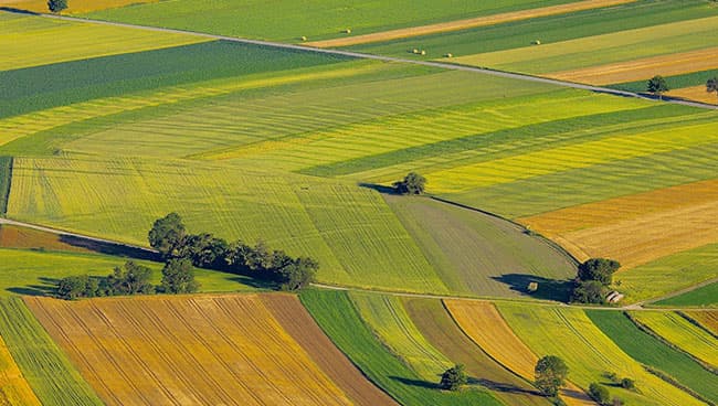 База знаний Росэлторг: государственные и имущественные торги ...